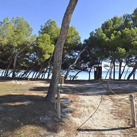 Playa De Pinos Apartment